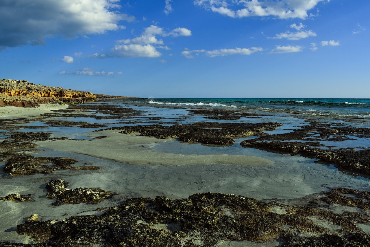 beach coast sea free photo