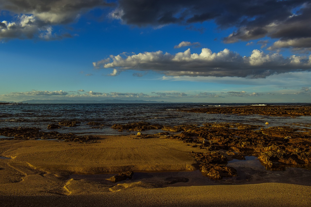 beach sea horizon free photo