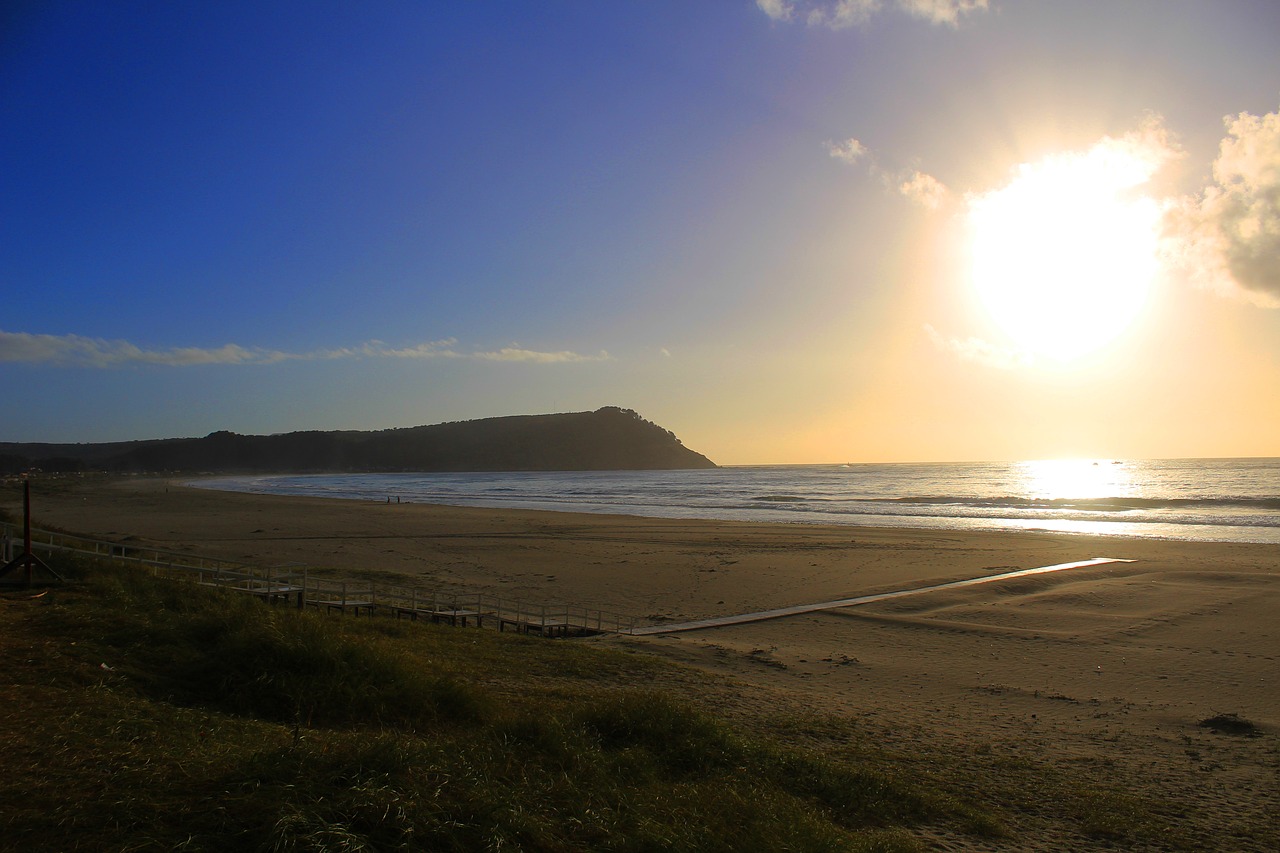 beach sun summer free photo