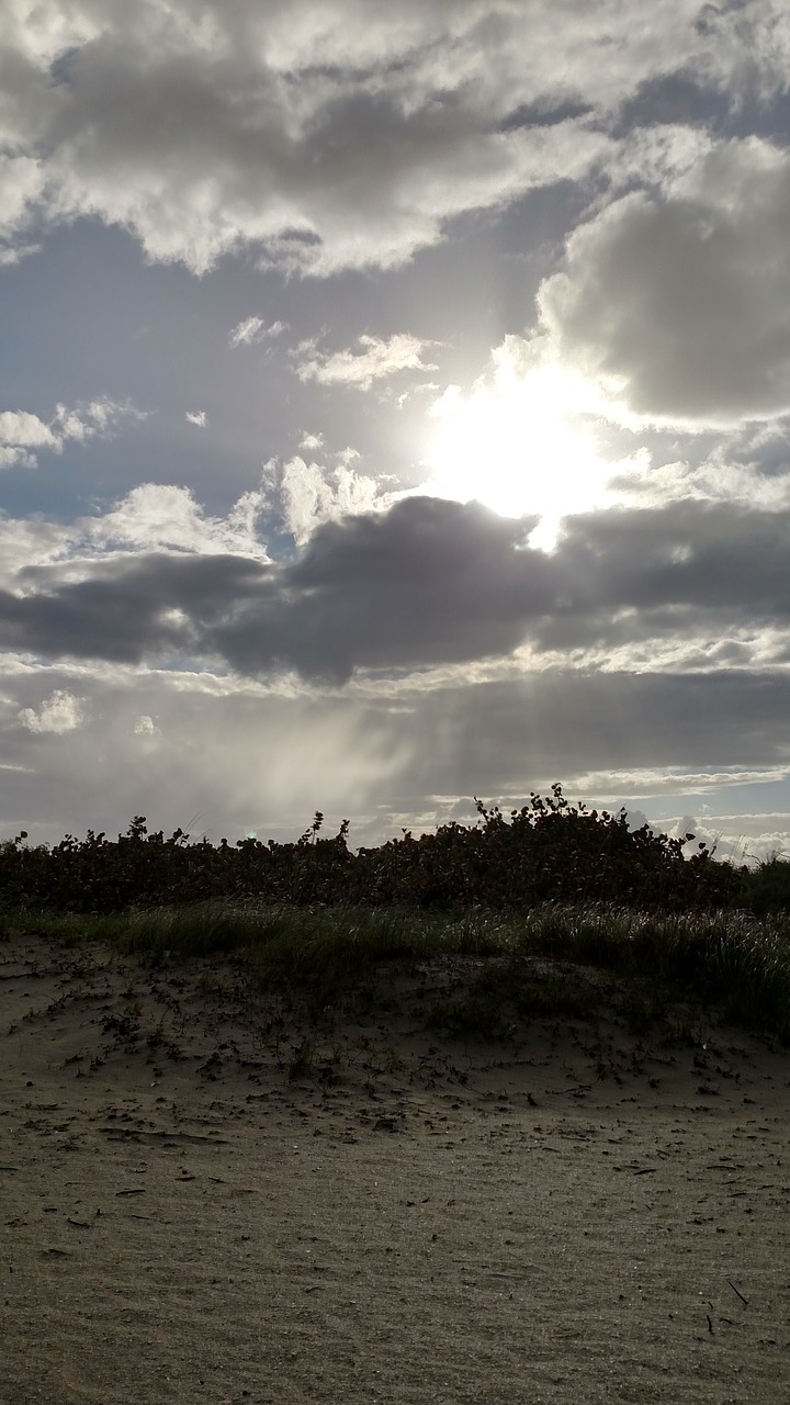 beach sand dune free photo