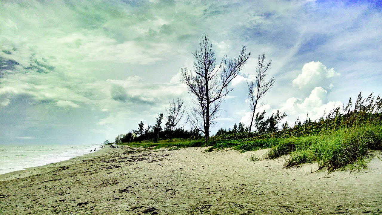 beach sand florida free photo