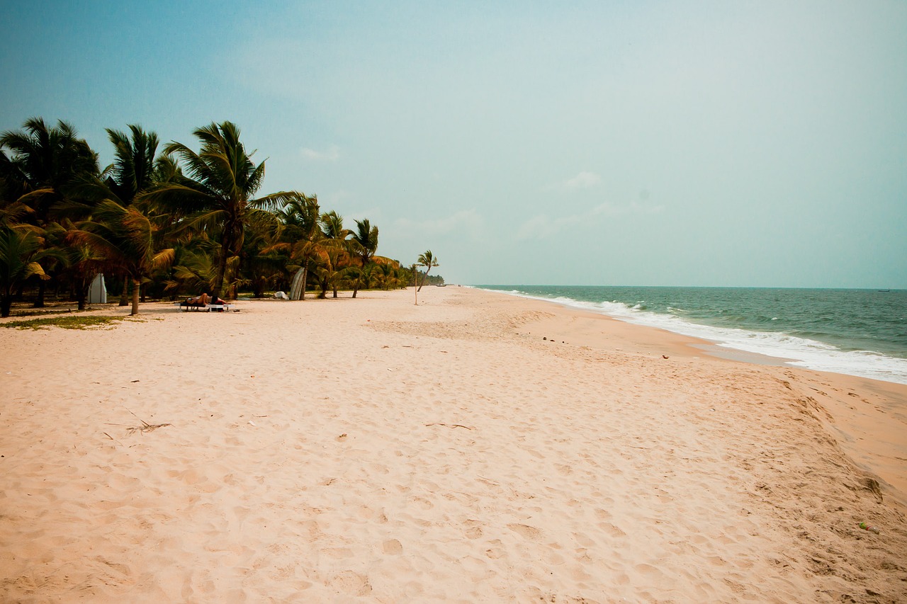 beach palm holiday free photo