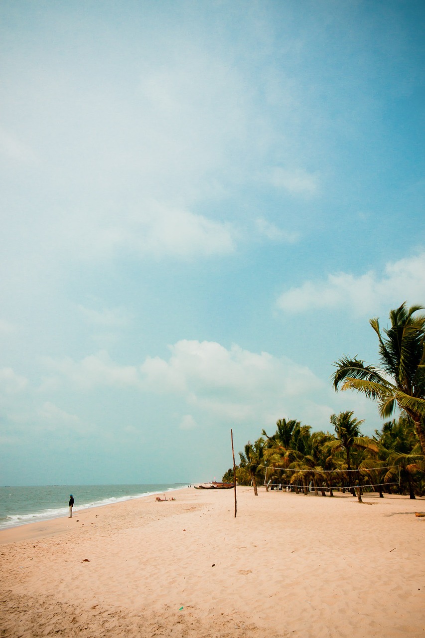 beach palm boats free photo