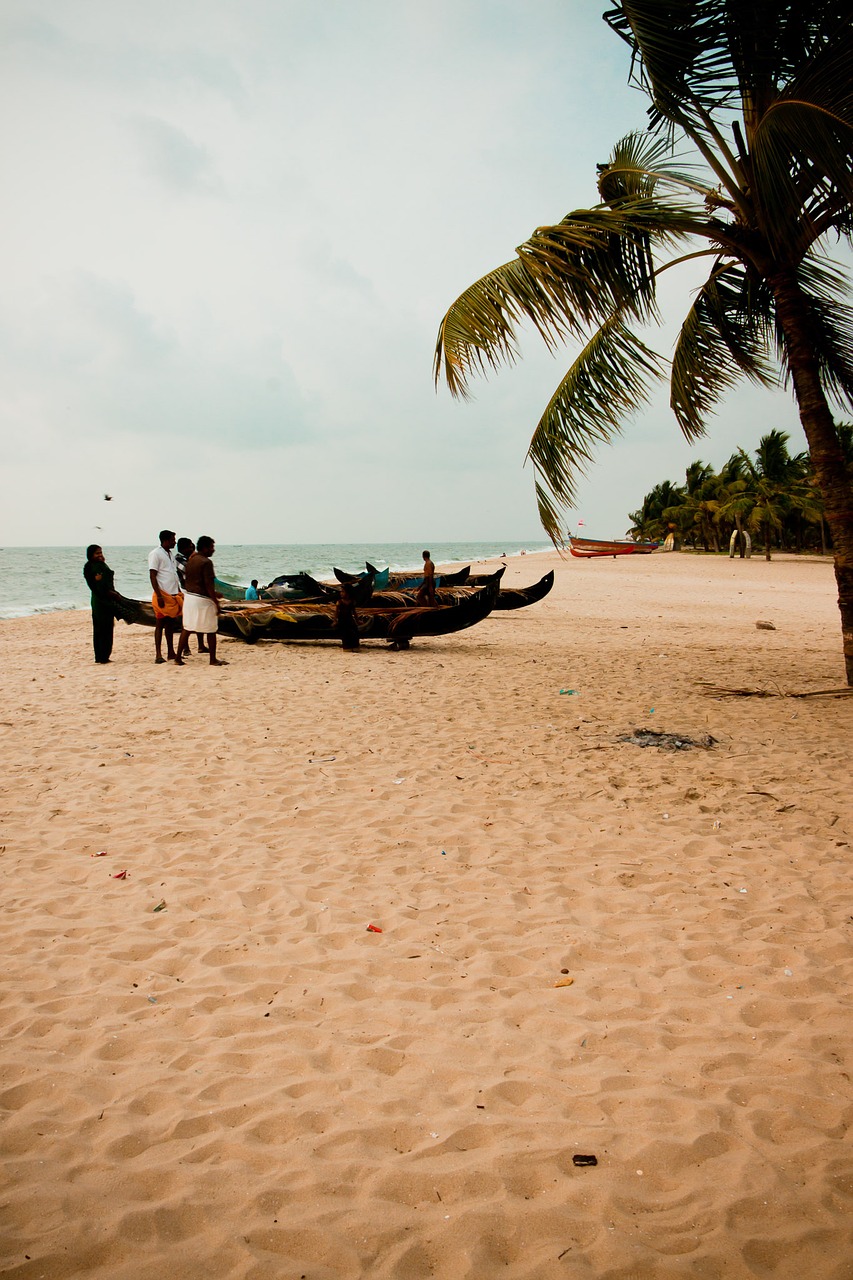 beach palm boats free photo