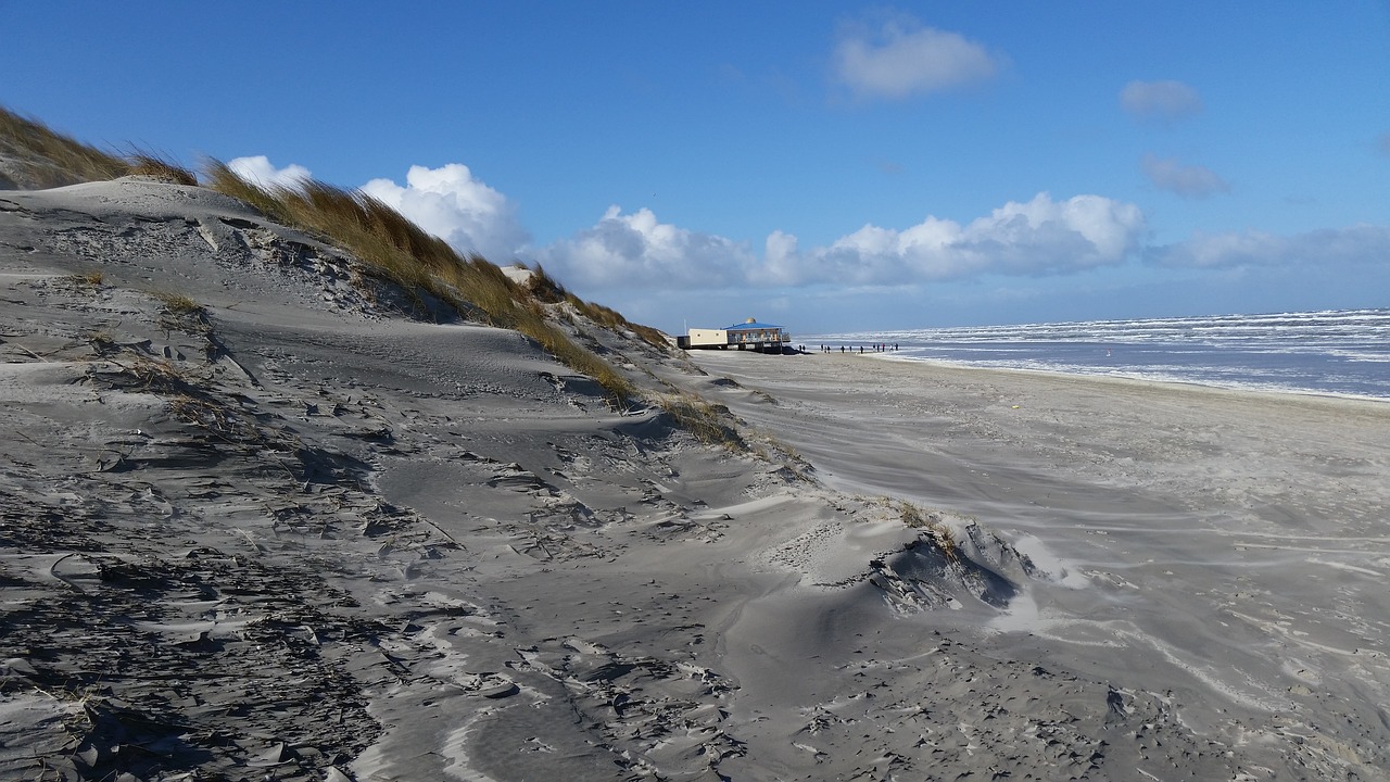 beach sea north sea free photo