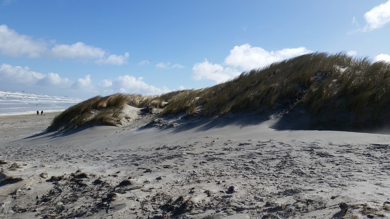 beach dunes north sea free photo