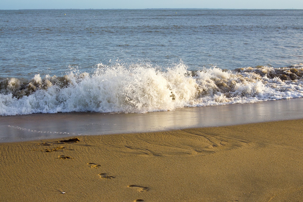 beach surf sea free photo