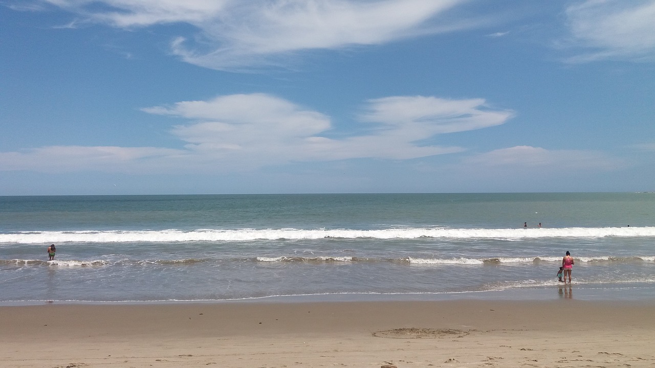 beach sea freedom free photo