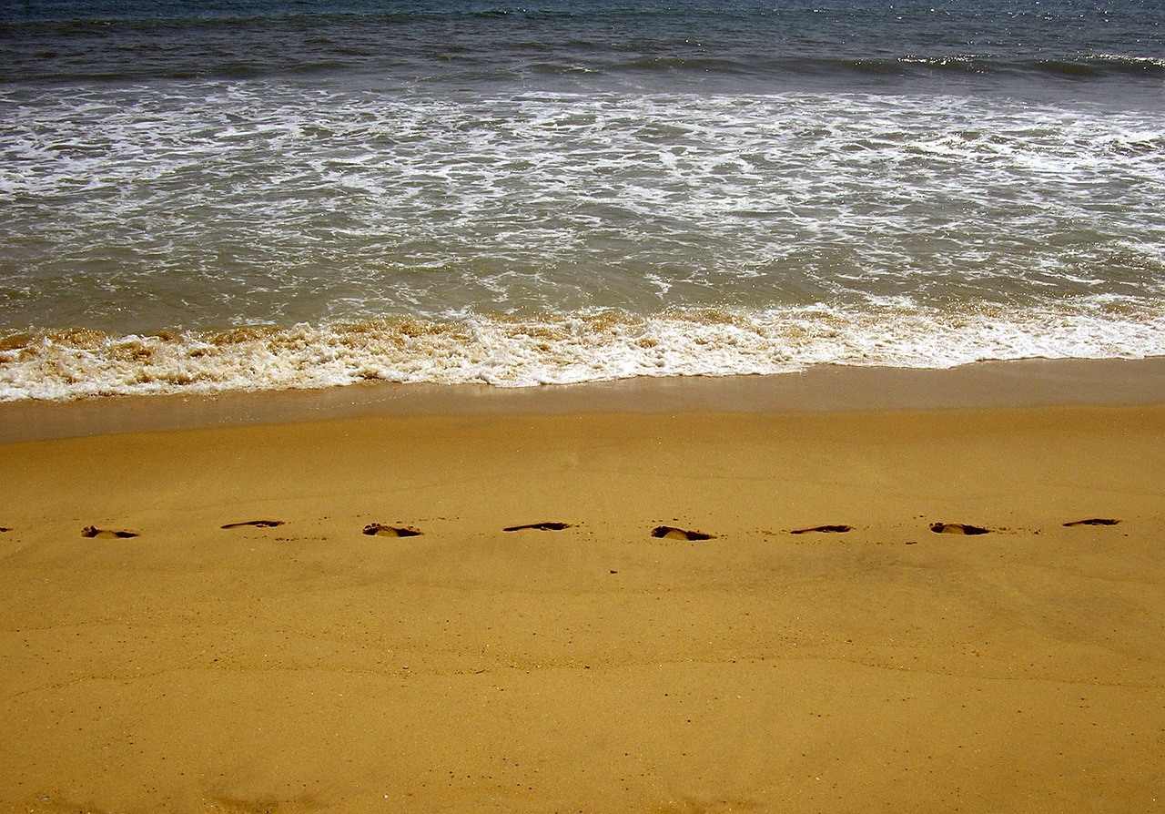 beach sea ​​shore tracks free photo