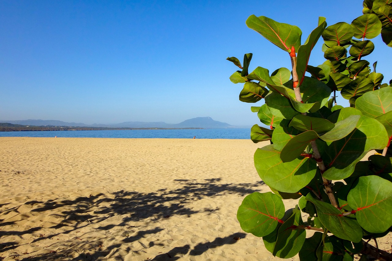 beach sea by the sea free photo