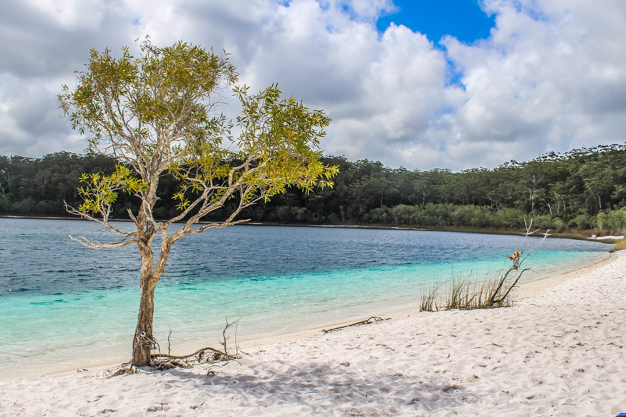 beach dock fraser island free photo