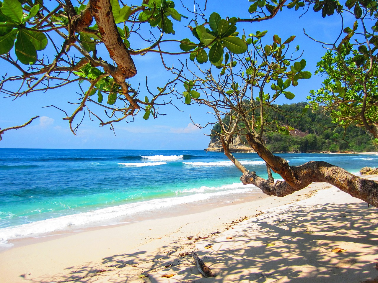 beach summer blue free photo