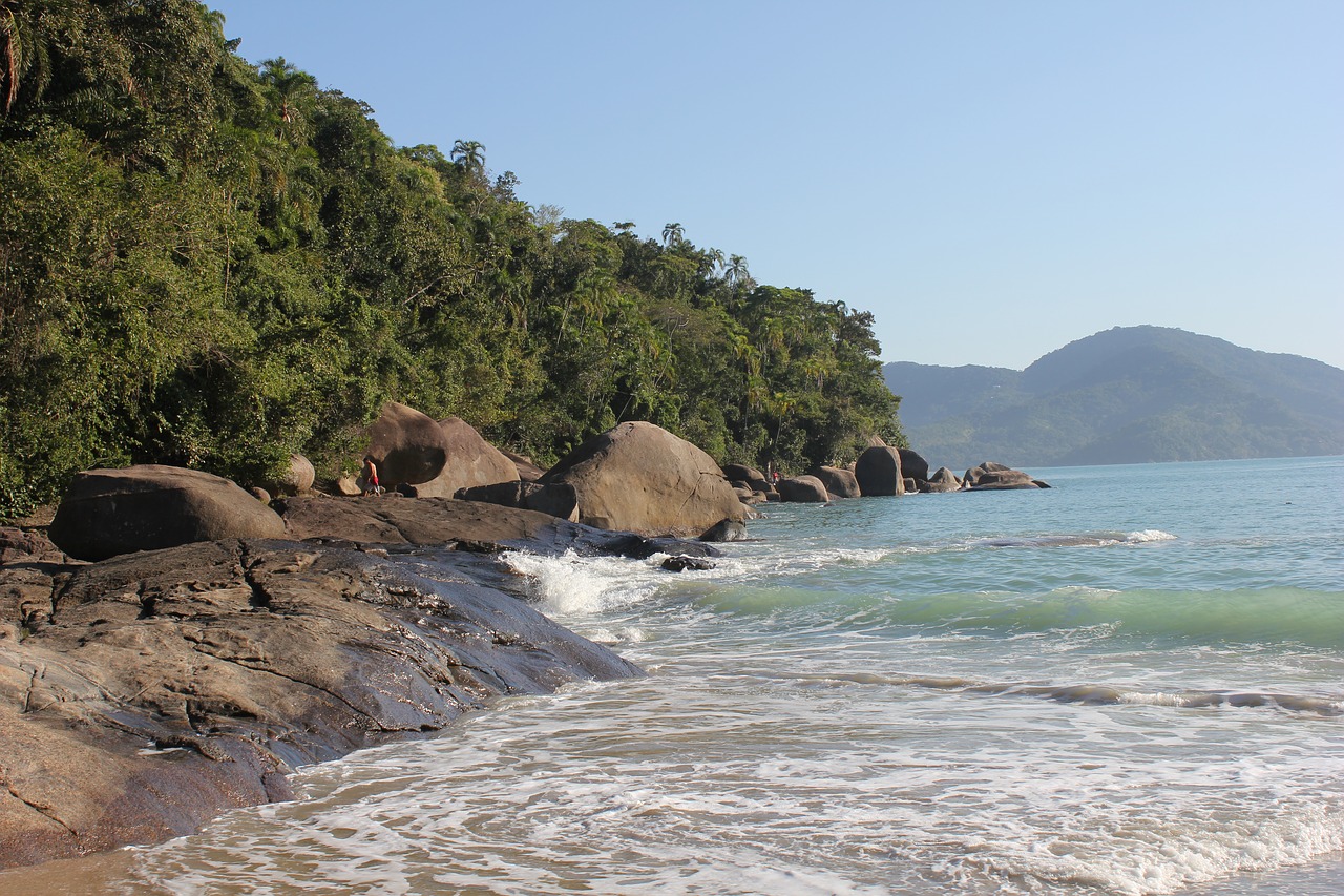 beach brazilwood holiday free photo