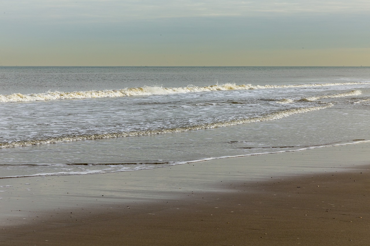 beach sea quiet free photo