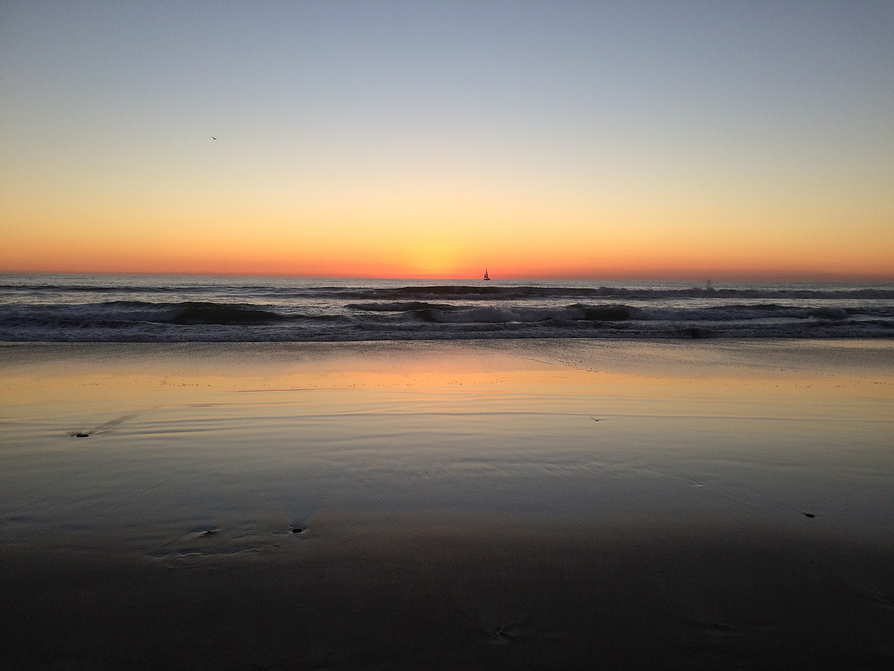 beach california usa free photo