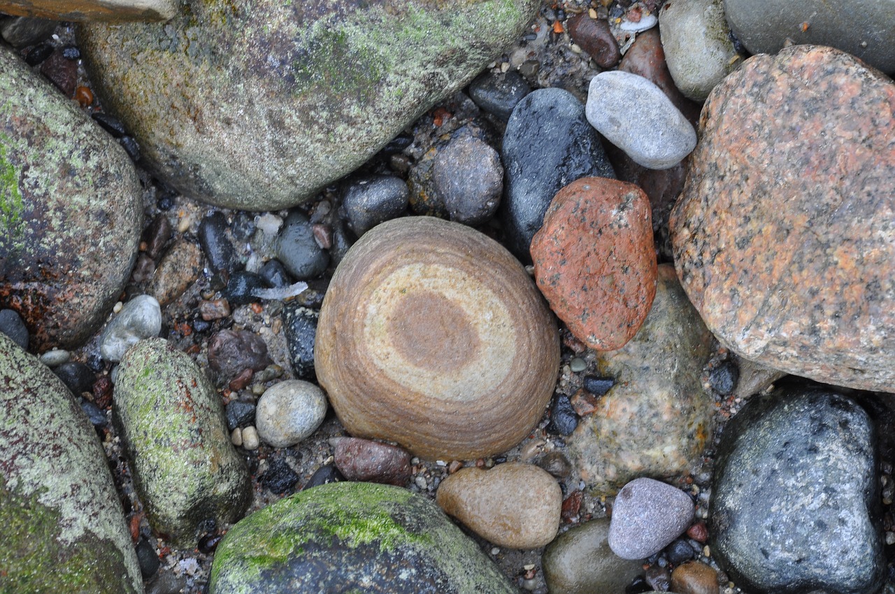 beach stones baltic sea free photo