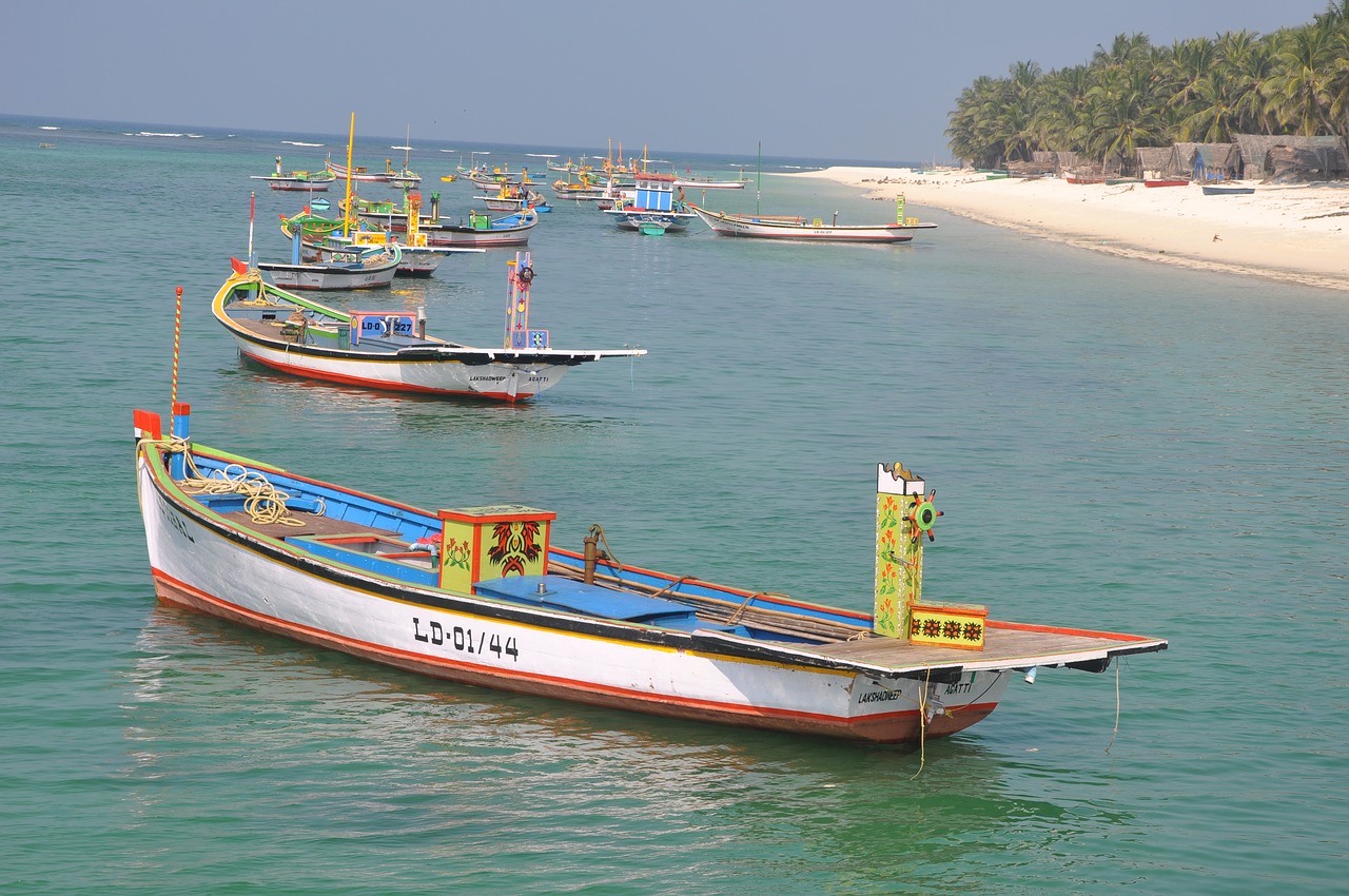 beach boat boats free photo