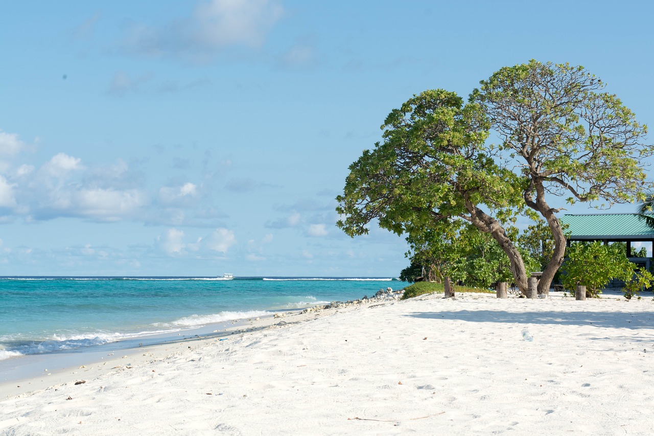 beach dharavandhoo baa free photo