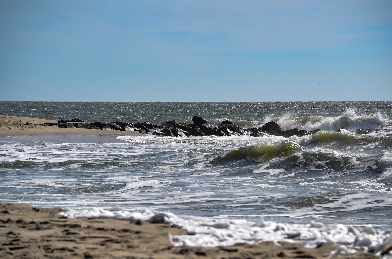 beach sand water free photo