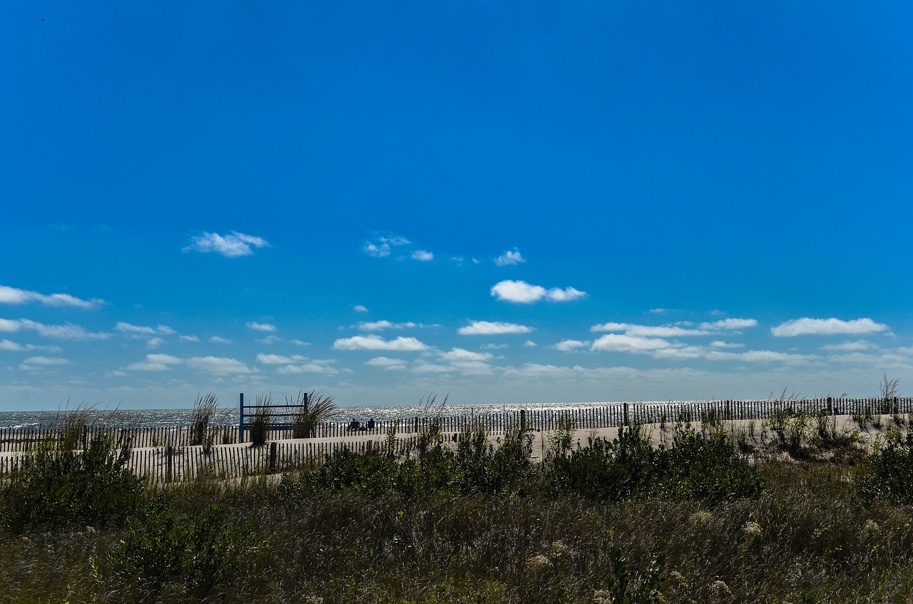 beach sand sky free photo