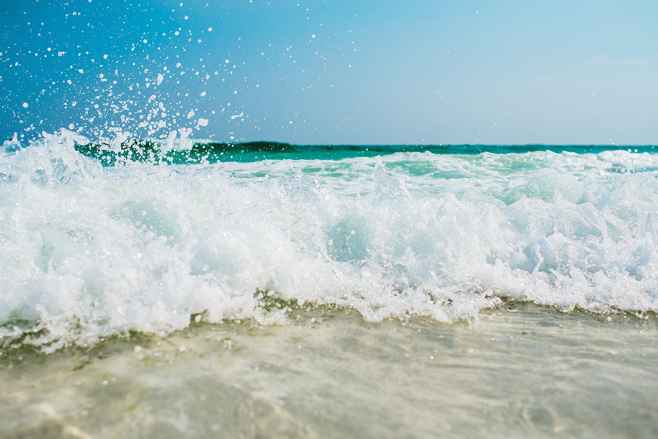 beach foam motion free photo