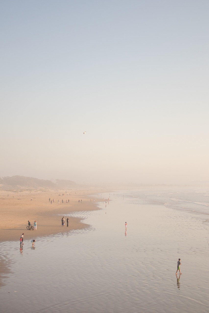 beach water tide free photo