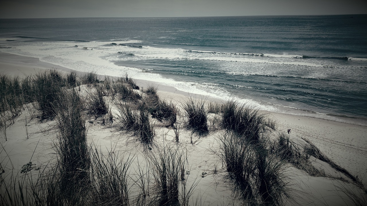 beach sea sand free photo