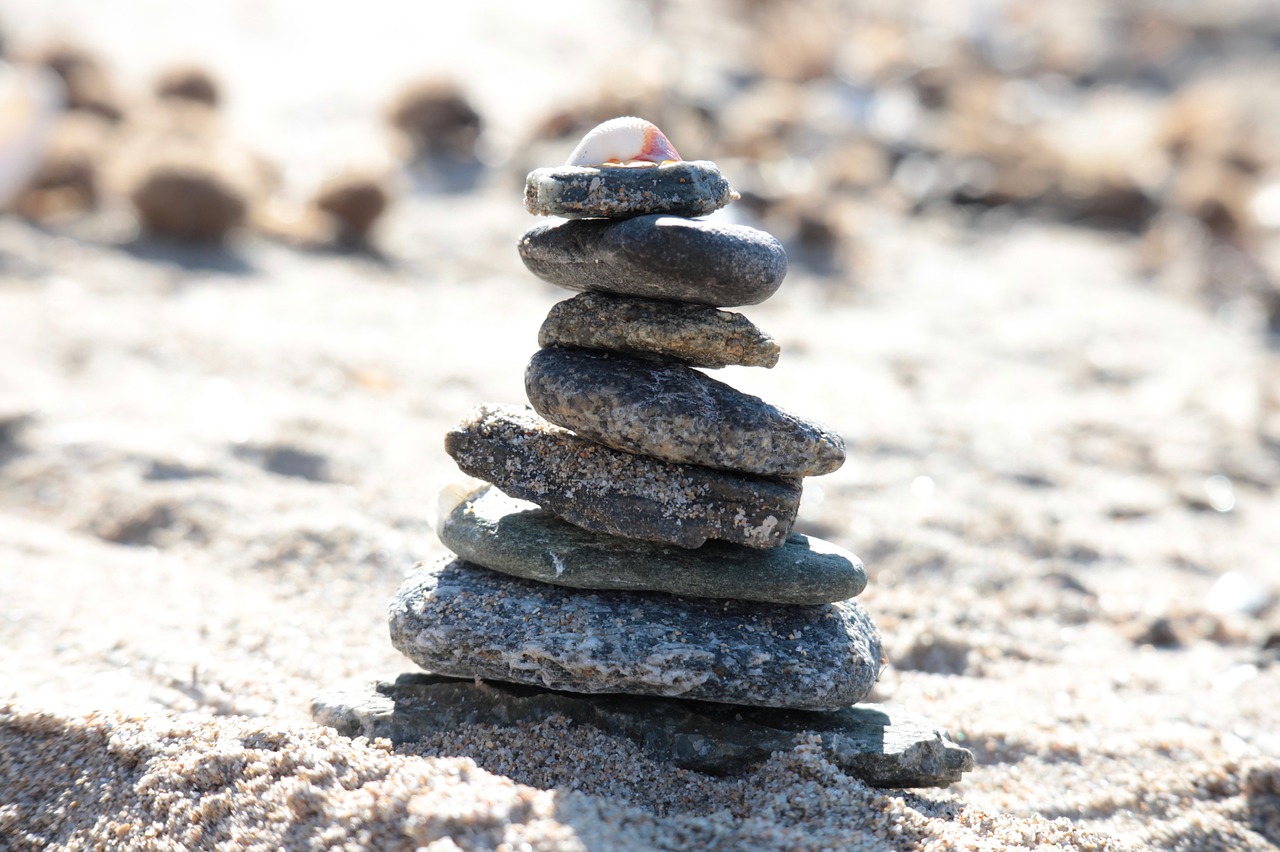 beach stones shells free photo