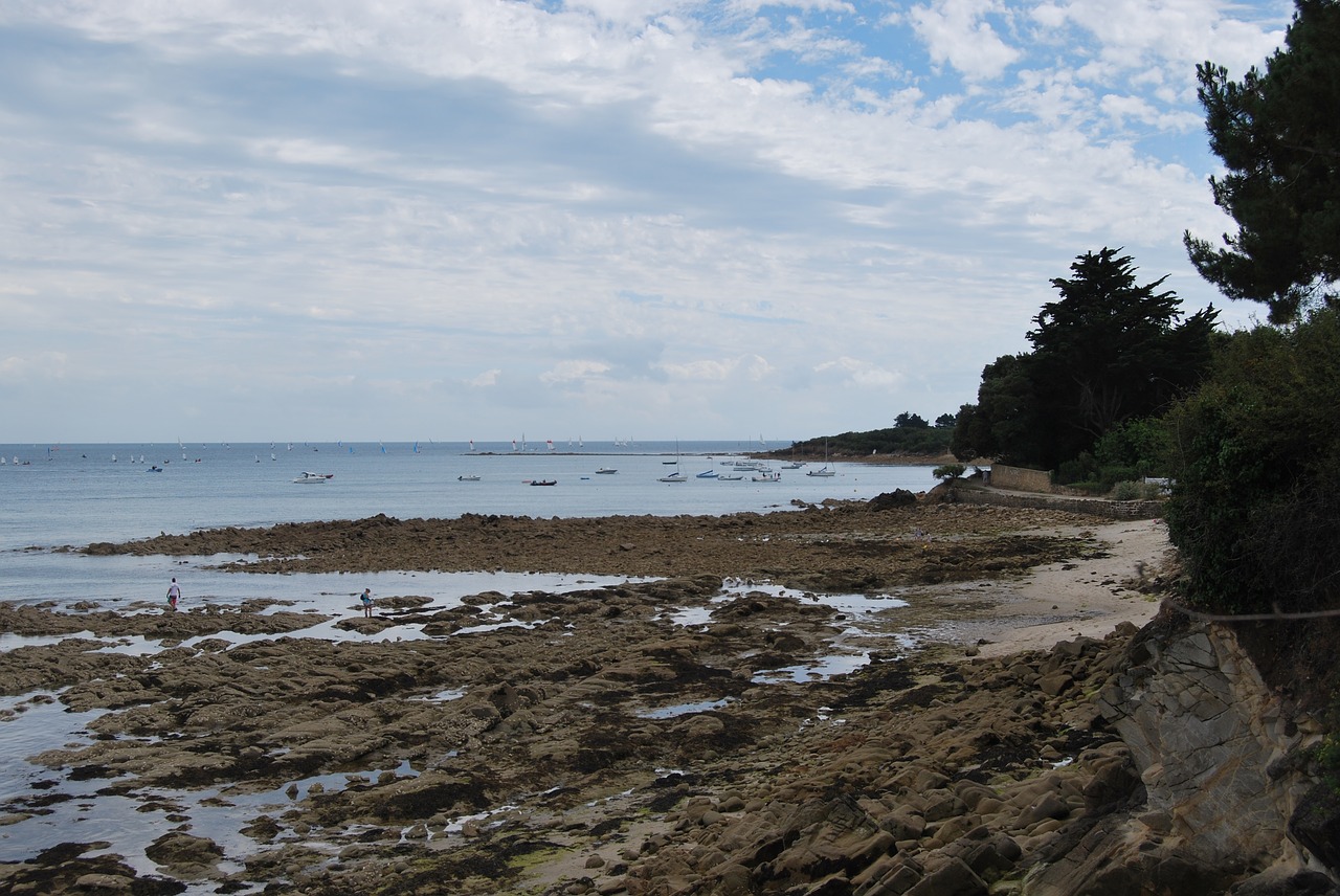 beach rocks side free photo