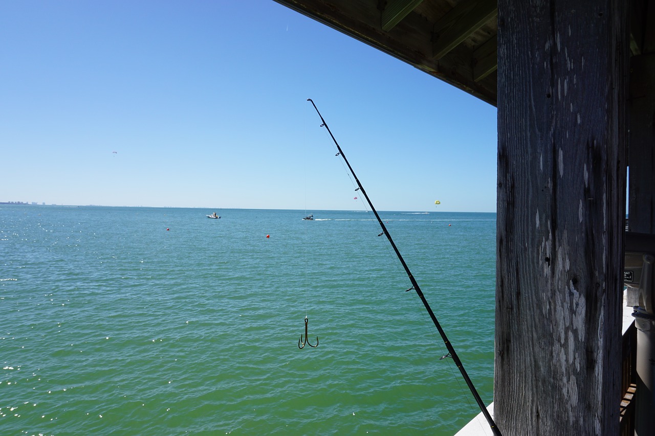 beach fishing sea free photo