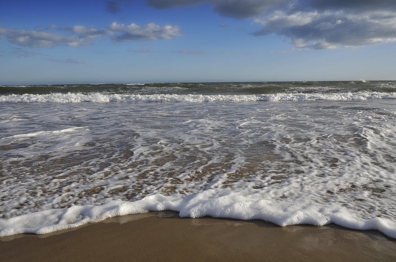 beach water sand beach free photo