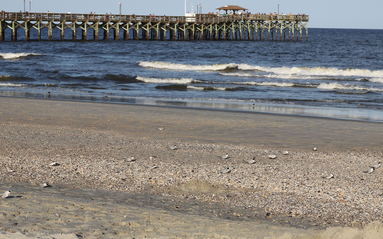 beach seashore pier free photo