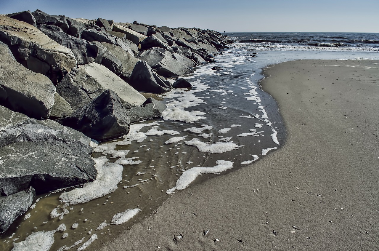 beach coast ocean free photo