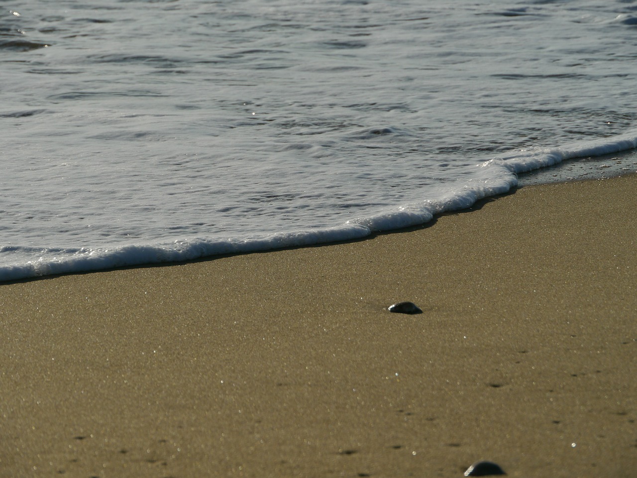 beach wave shore free photo