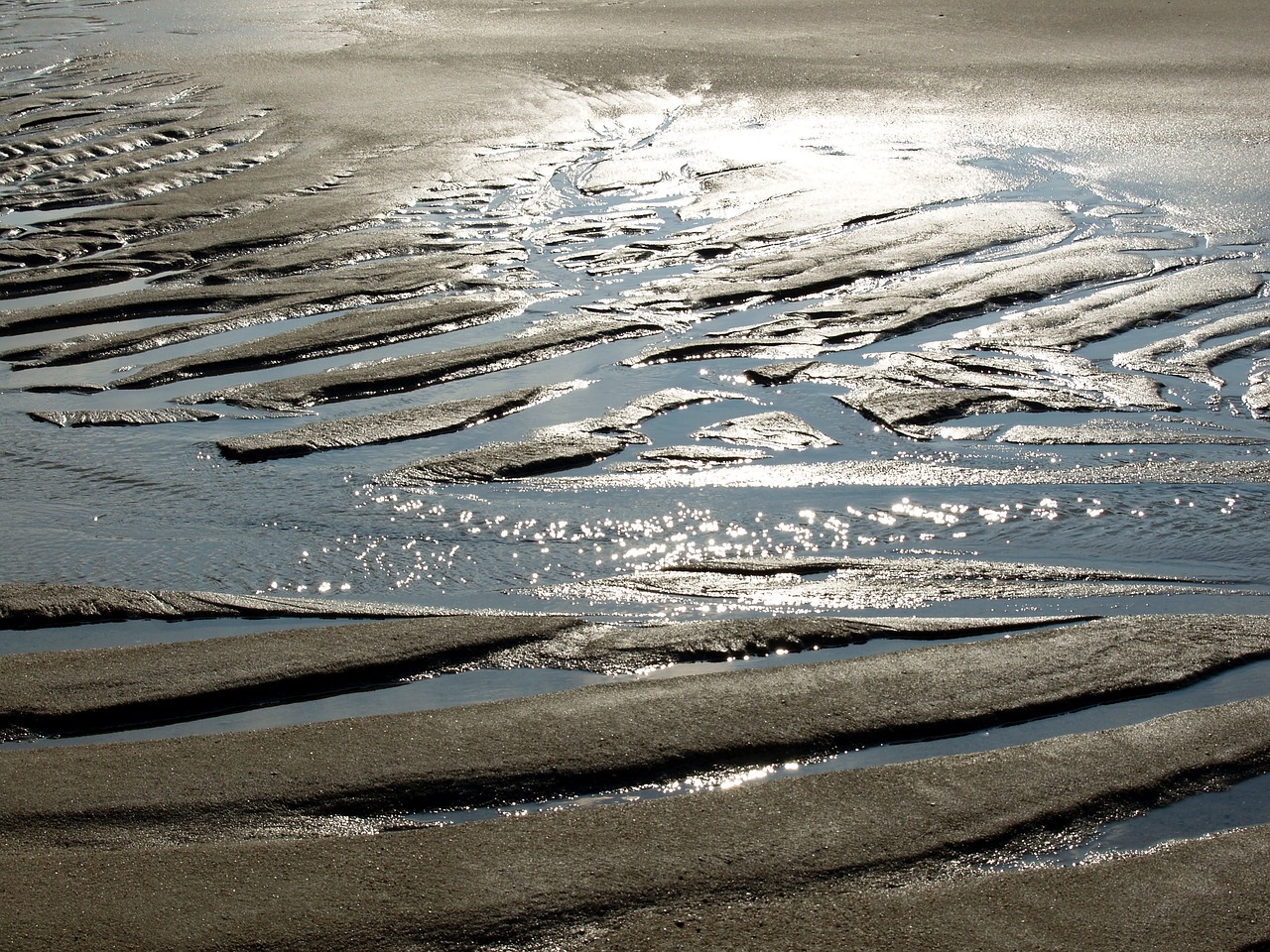 beach north sea pril free photo