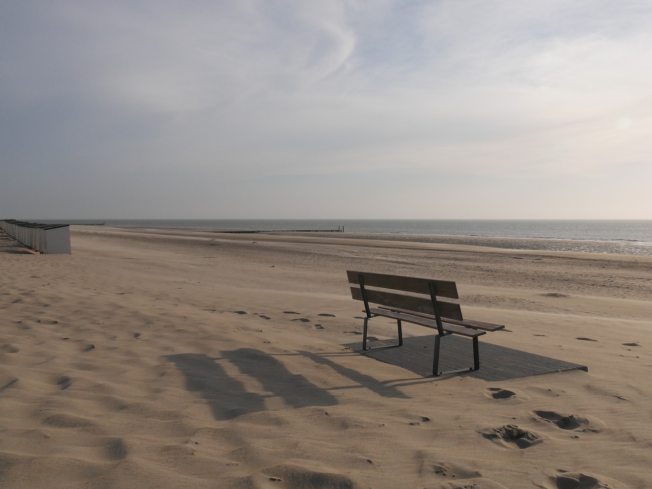 beach north sea sand free photo