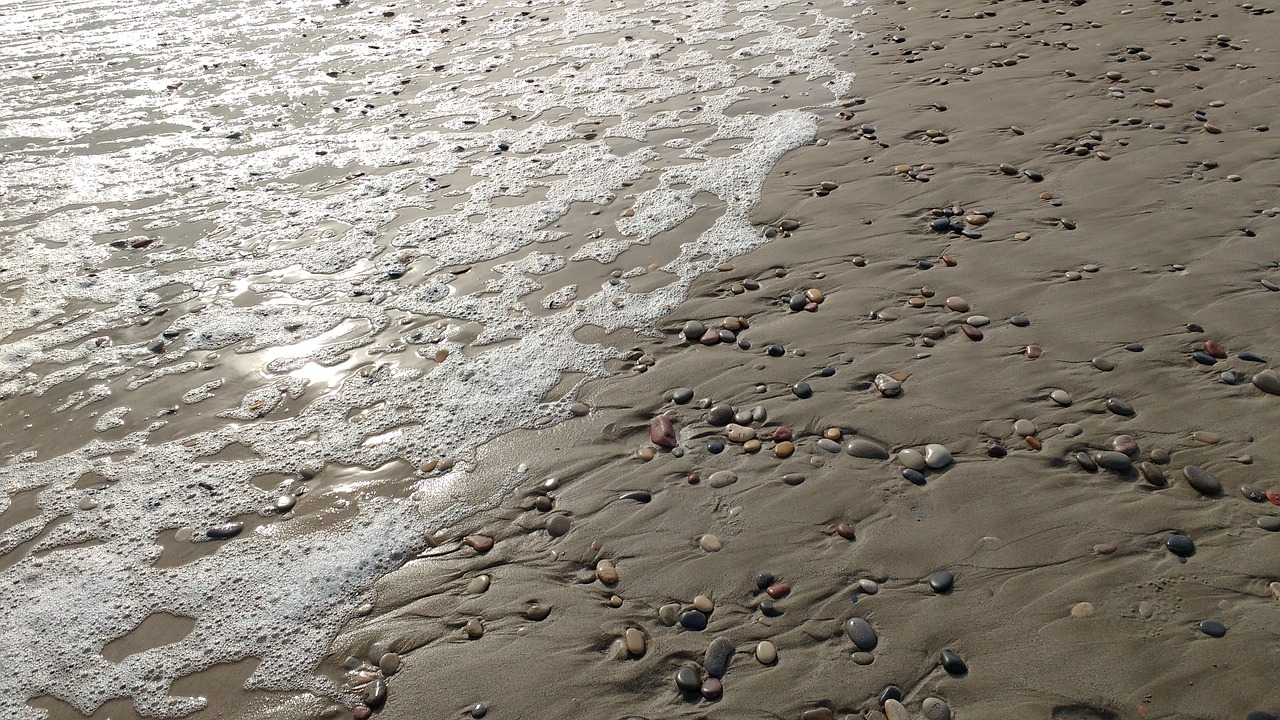 beach sea shore free photo