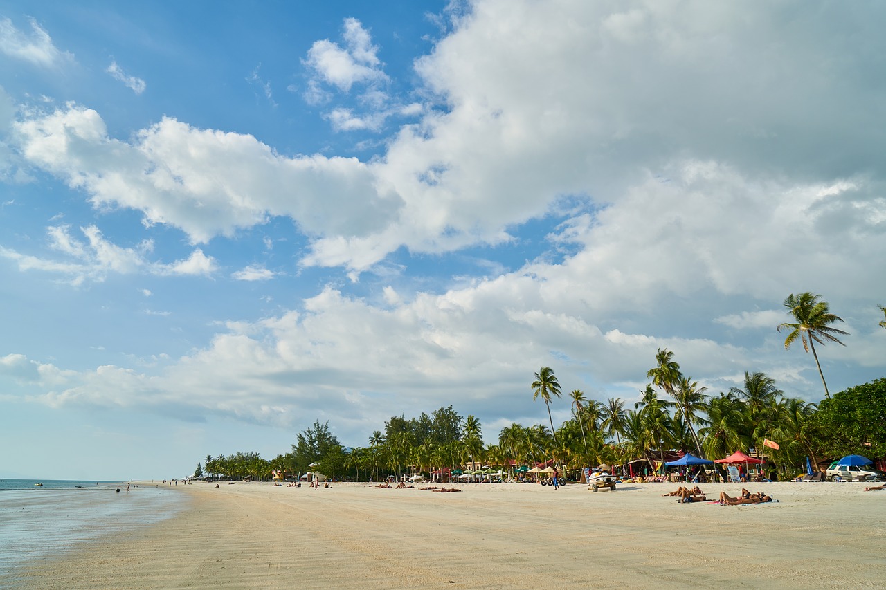 beach marine nature free photo