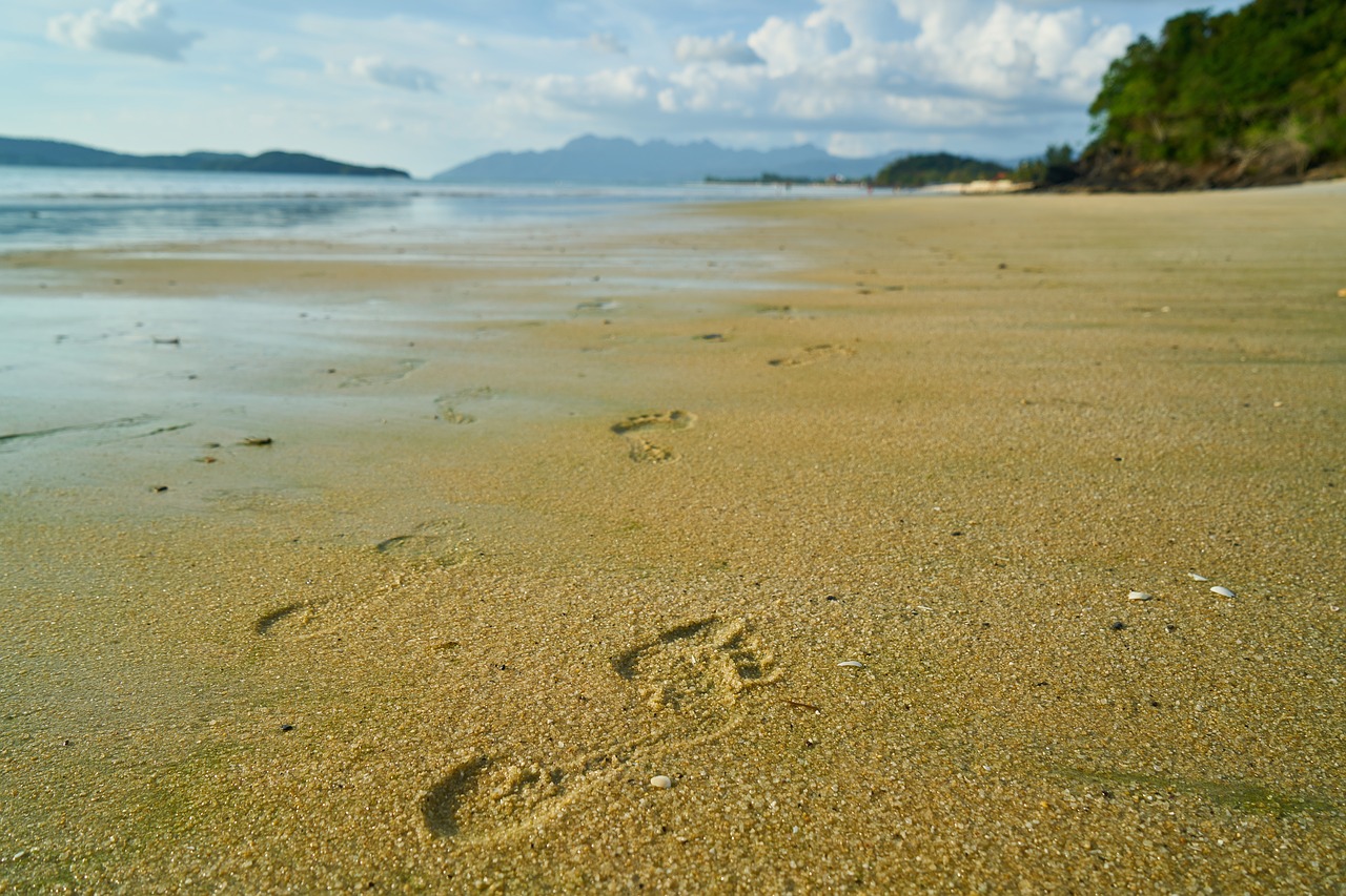 beach footprint sand free photo