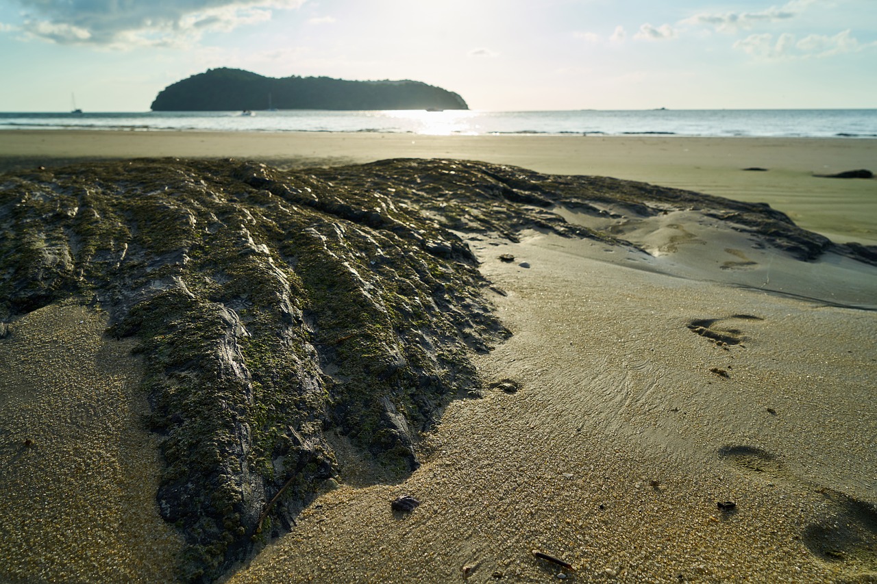 beach marine nature free photo