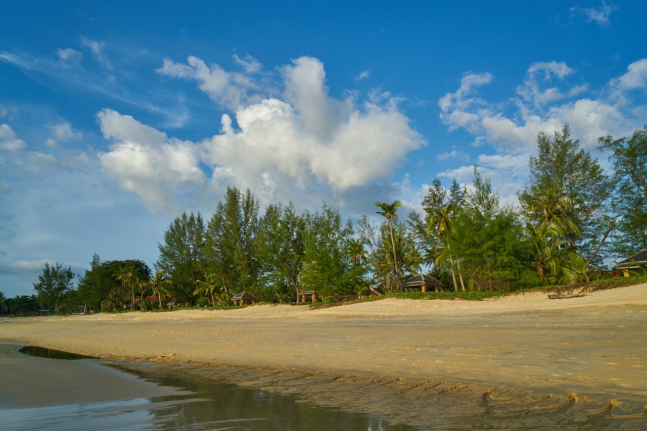 beach marine nature free photo