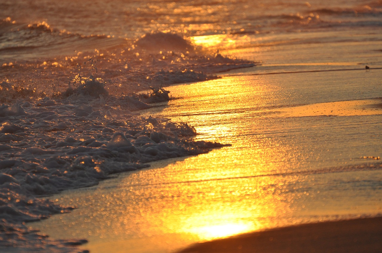 beach sunset ocean free photo