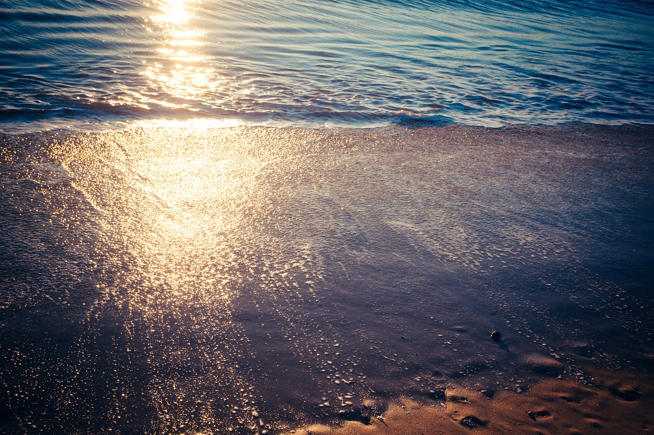 beach sand agua free photo