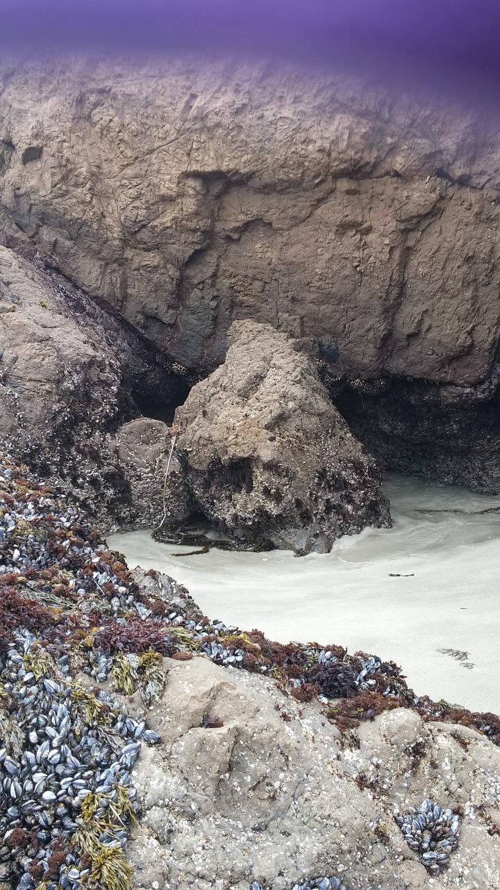 beach ocean sea cave free photo