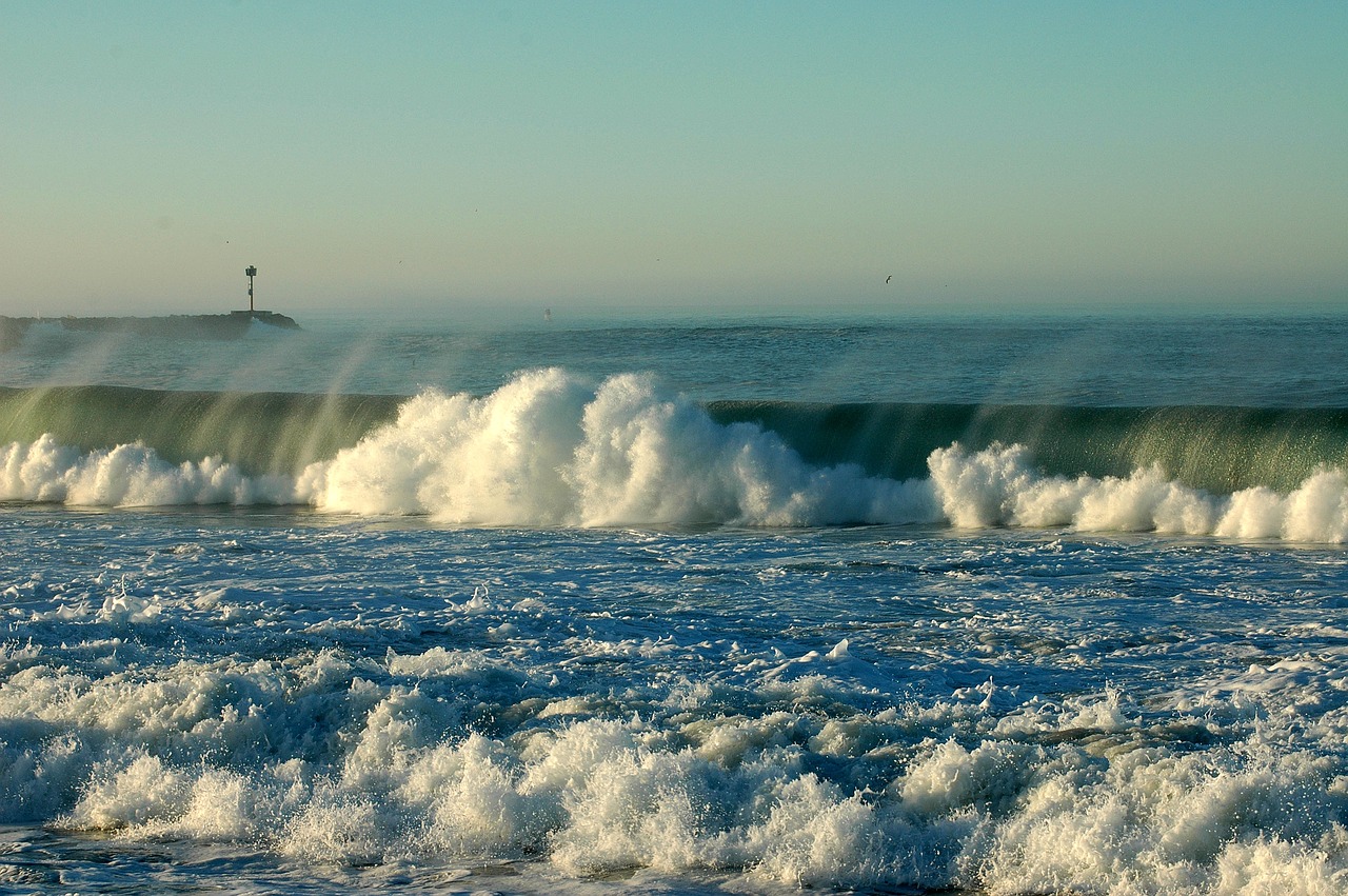 beach ocean wave free photo