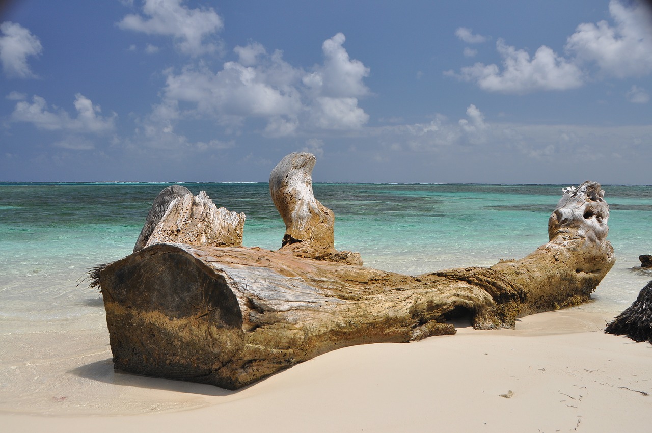 beach wooden sea free photo