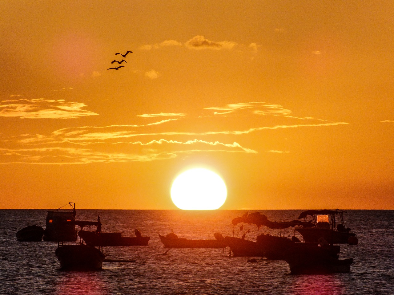 beach sea boat free photo