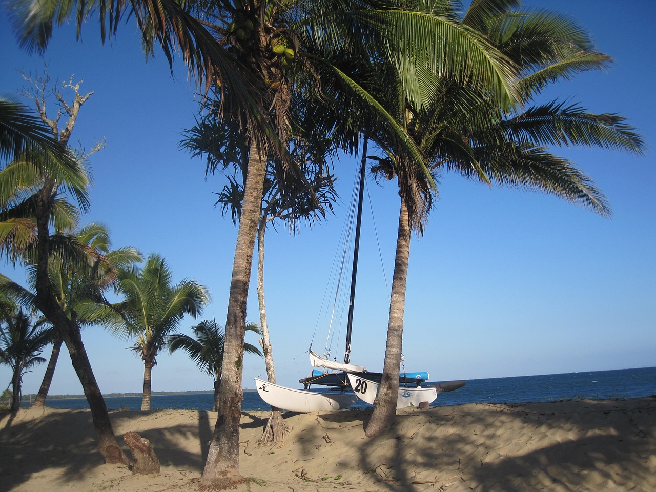 beach fiji sea free photo