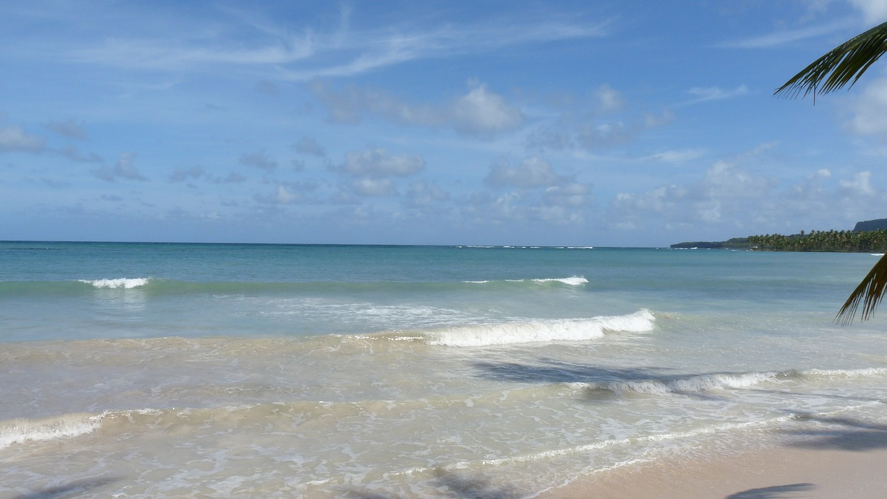 beach samana dominican republic free photo