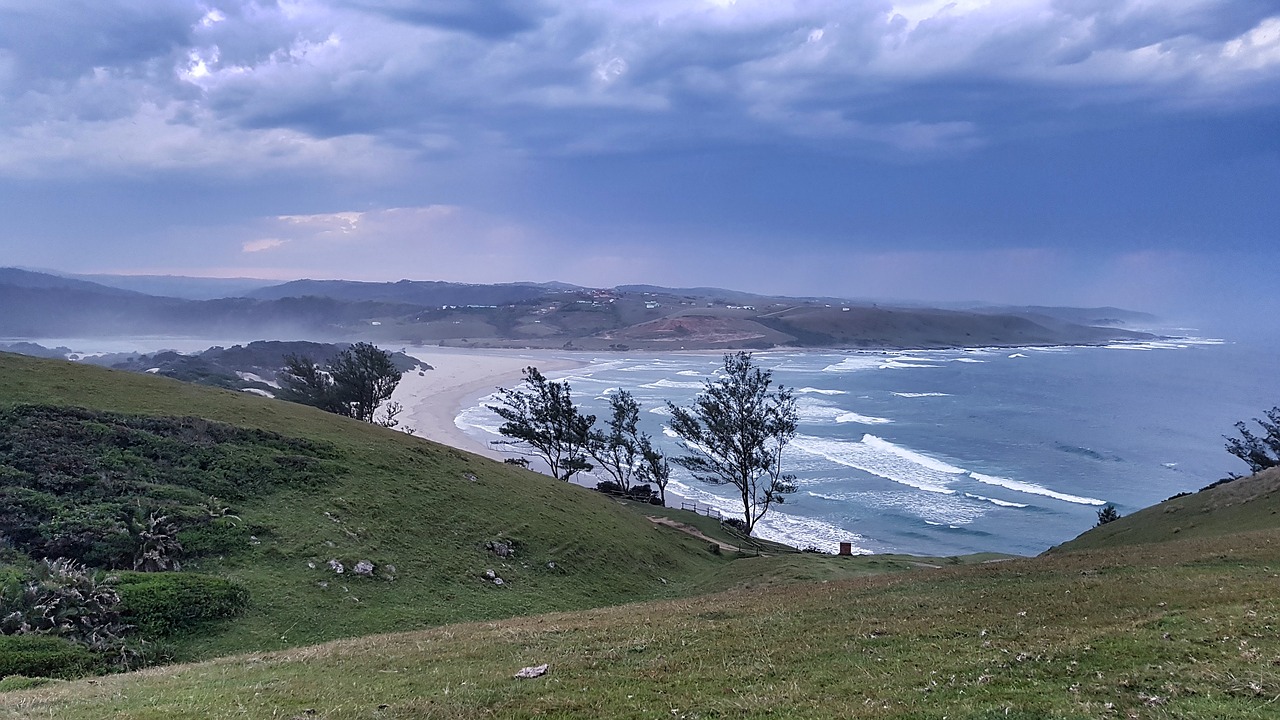 beach wave sea free photo